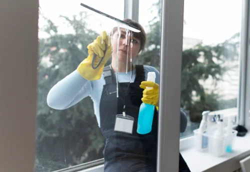 Nettoyage de vitres intérieures et extérieures à Pierrelongue